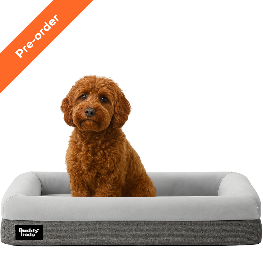 Pre-order Buddy Bed (7 t/m 14 oktober)