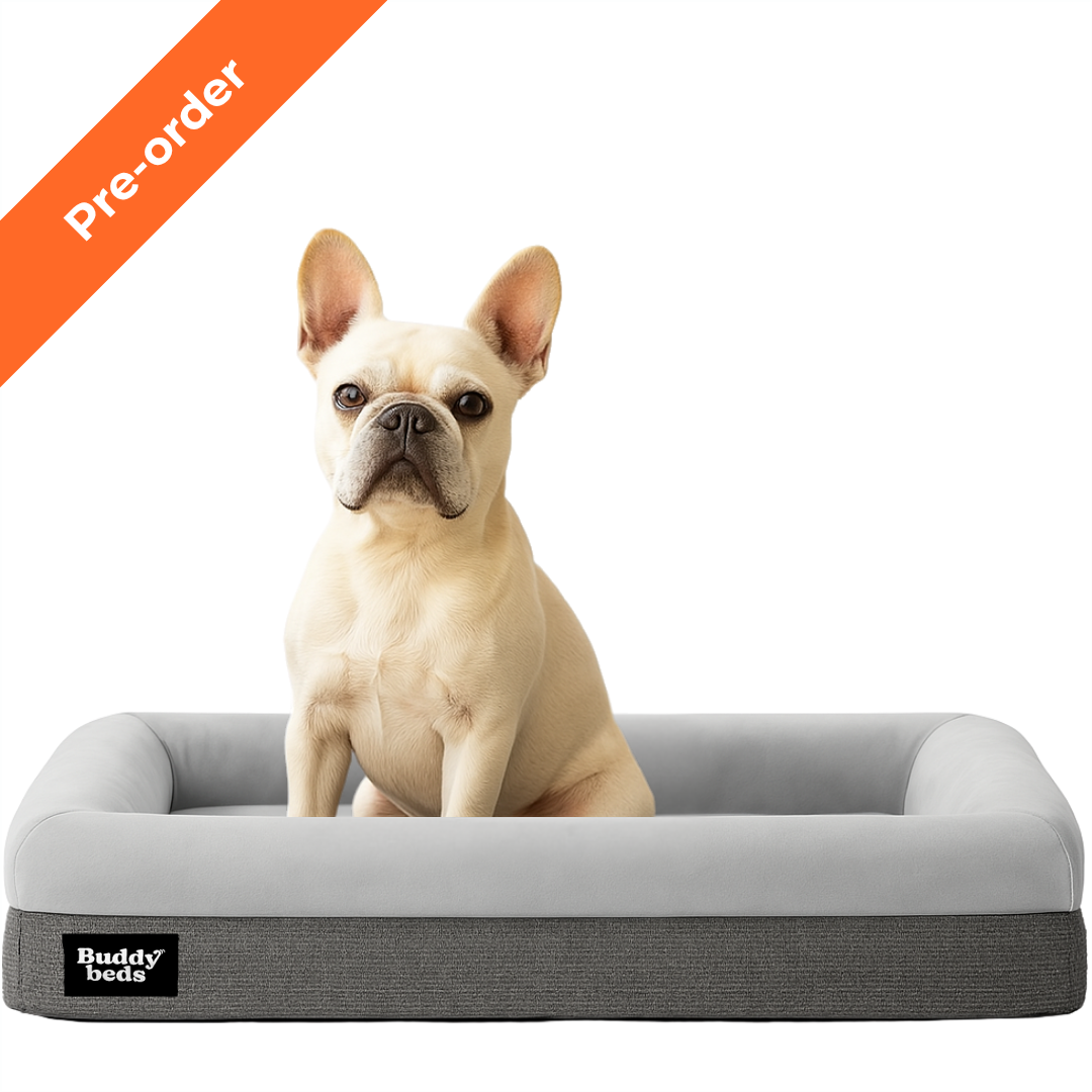 Pre-order Buddy Bed (7 t/m 14 oktober)