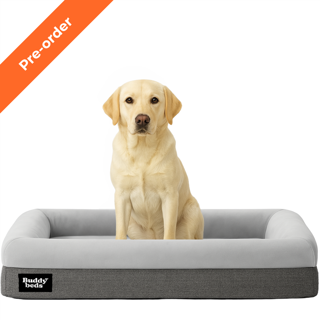 Pre-order Buddy Bed (7 t/m 14 oktober)