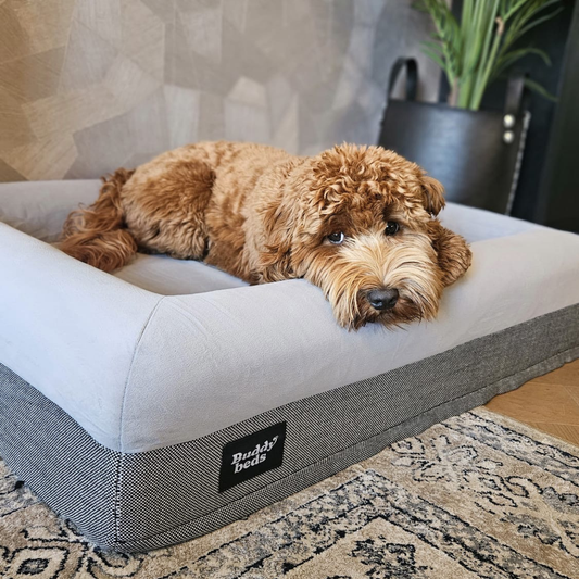 Original Soft Grey Hoes