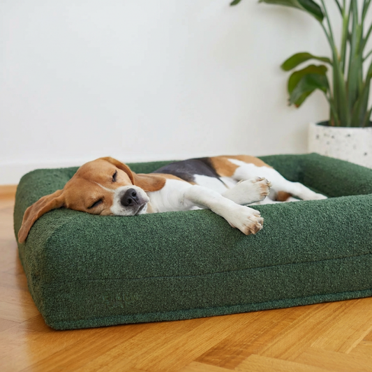 Bouclé Forest Green