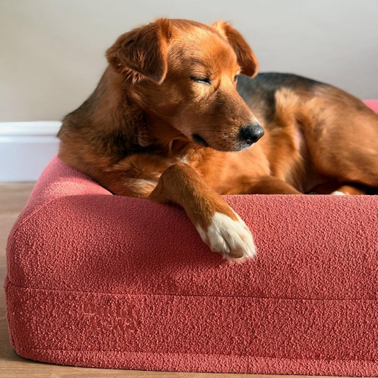 Bouclé Dusty Pink Hoes