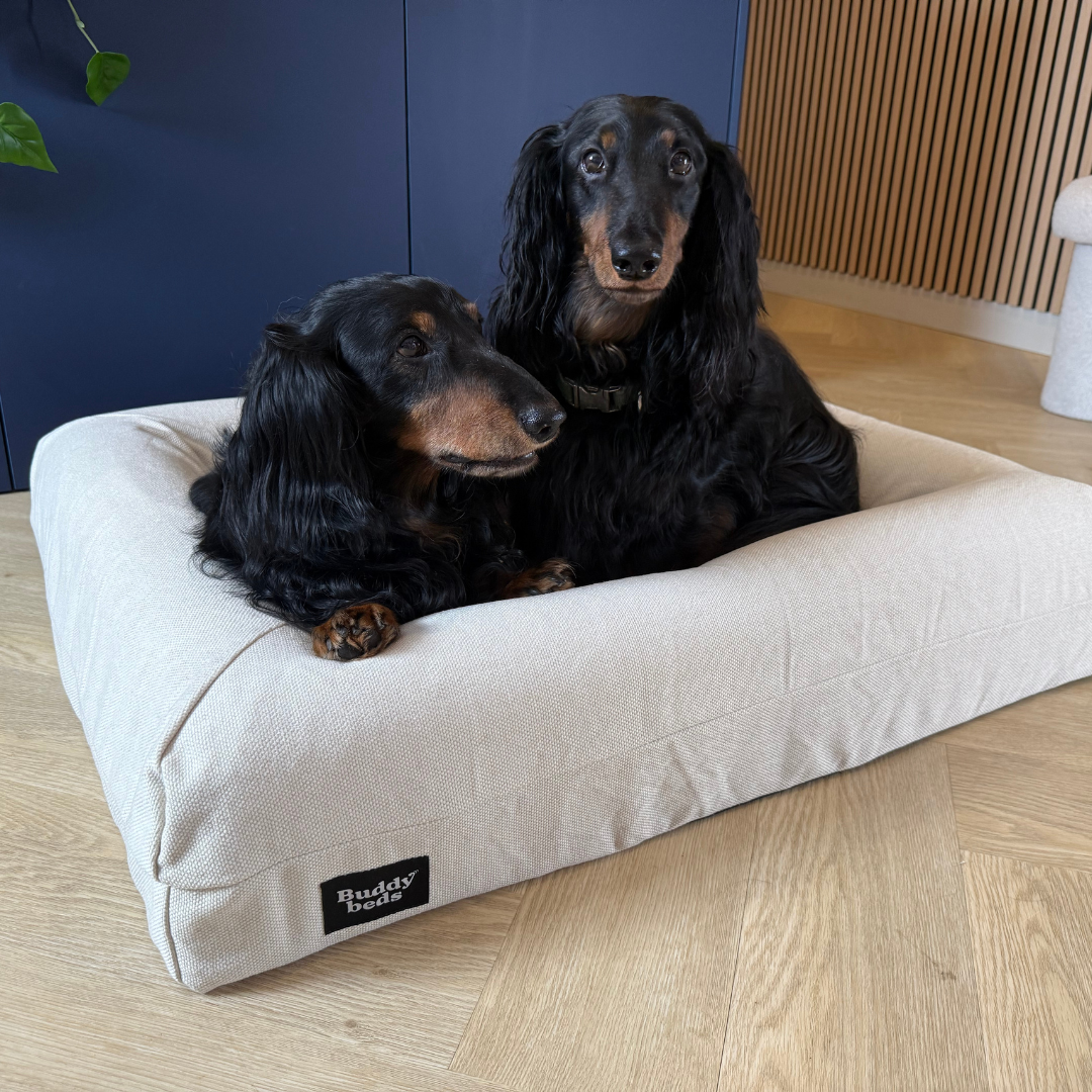 Medium Buddy Bed