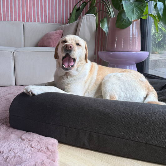 Pullover Couverture anthracite