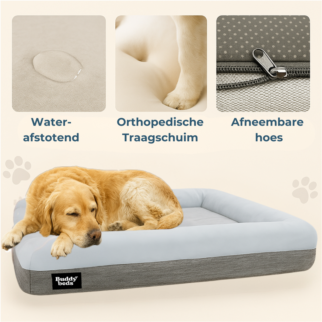 Large Buddy Bed