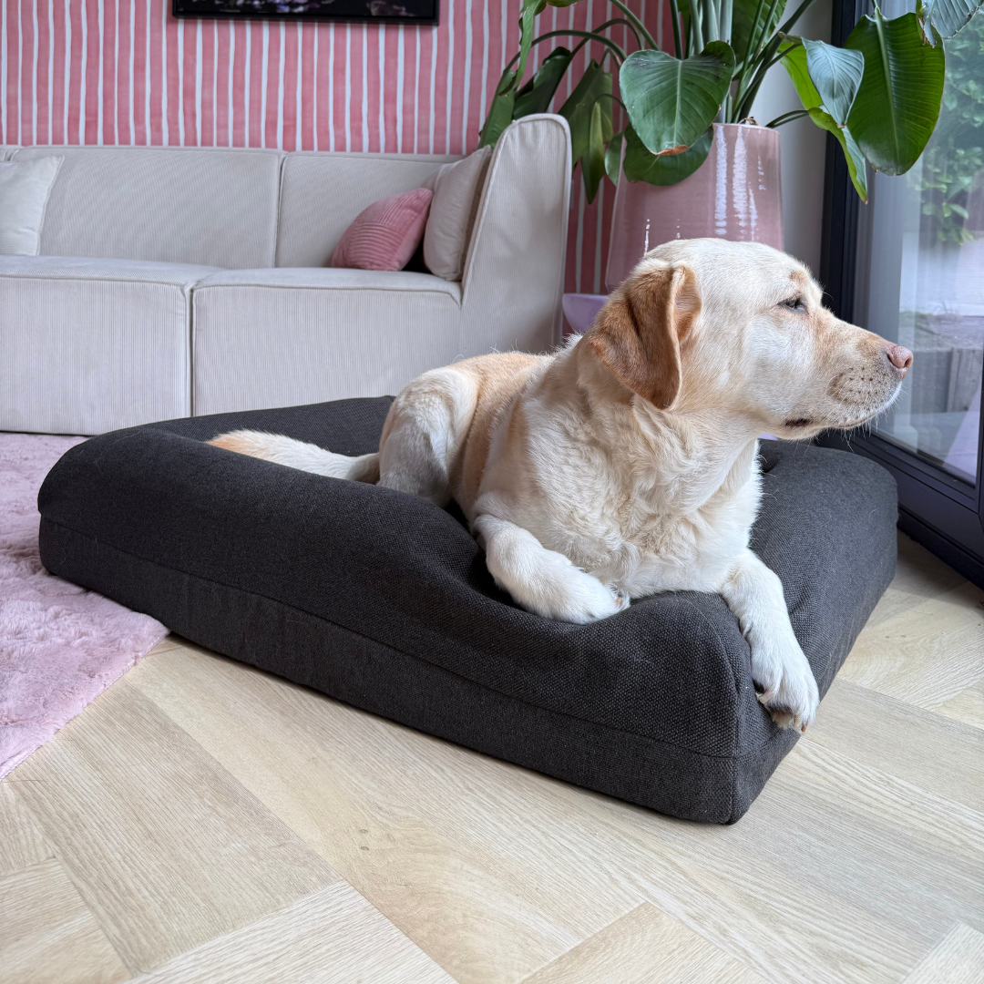 Large Buddy Bed