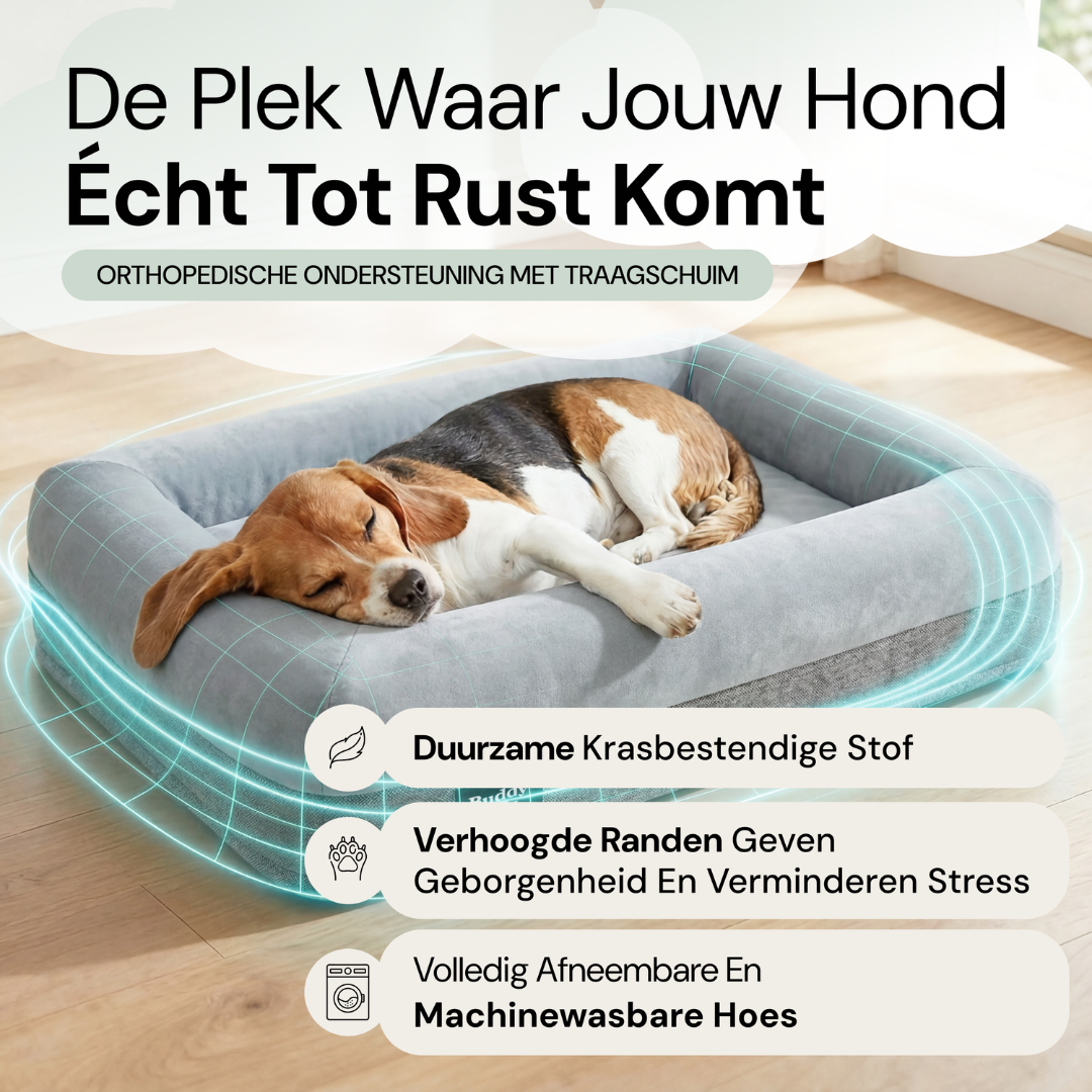 Small Buddy Bed