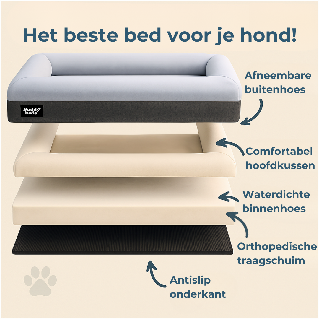 Large Buddy Bed