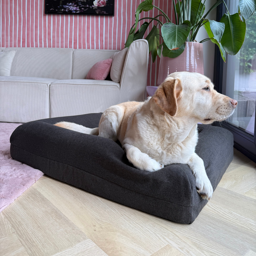 Pullover Anthrazitfarbene Abdeckung