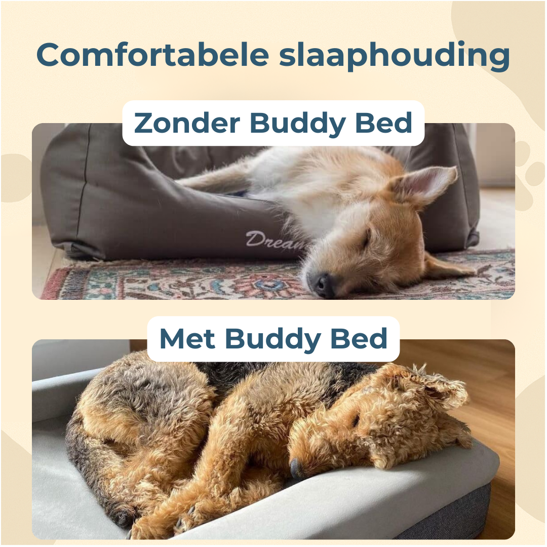 Large Buddy Bed