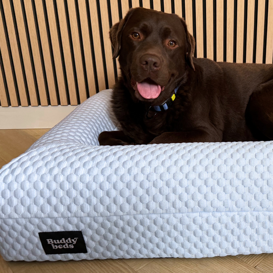 Housse de refroidissement bleu glacial