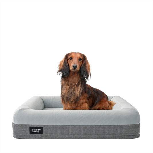 Small Buddy Bed