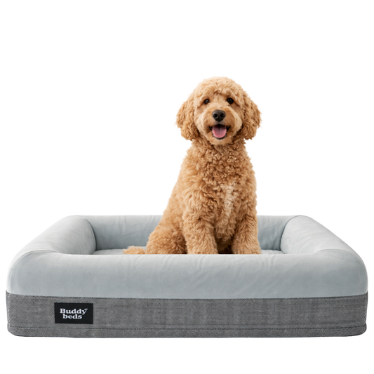 Medium Buddy Bed