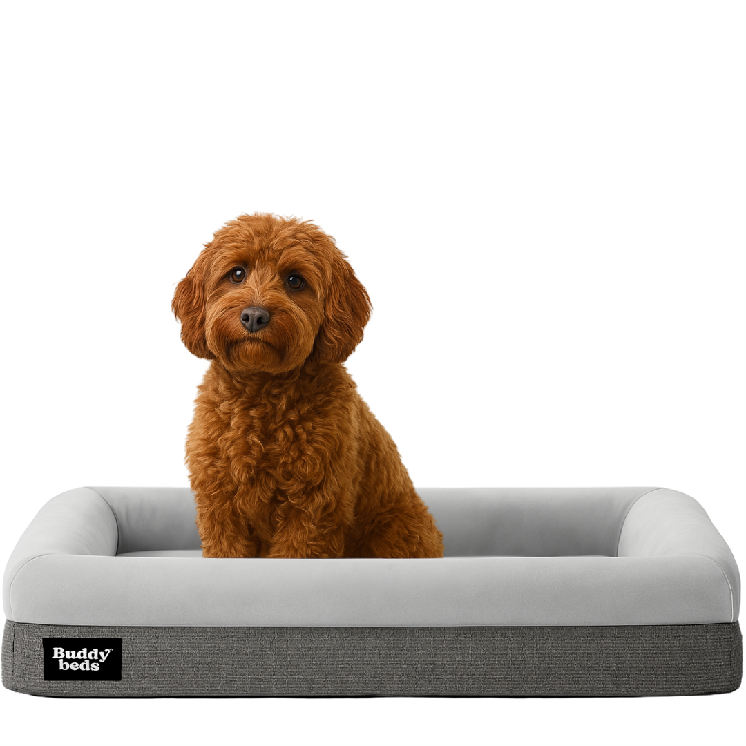 Medium Buddy Bed