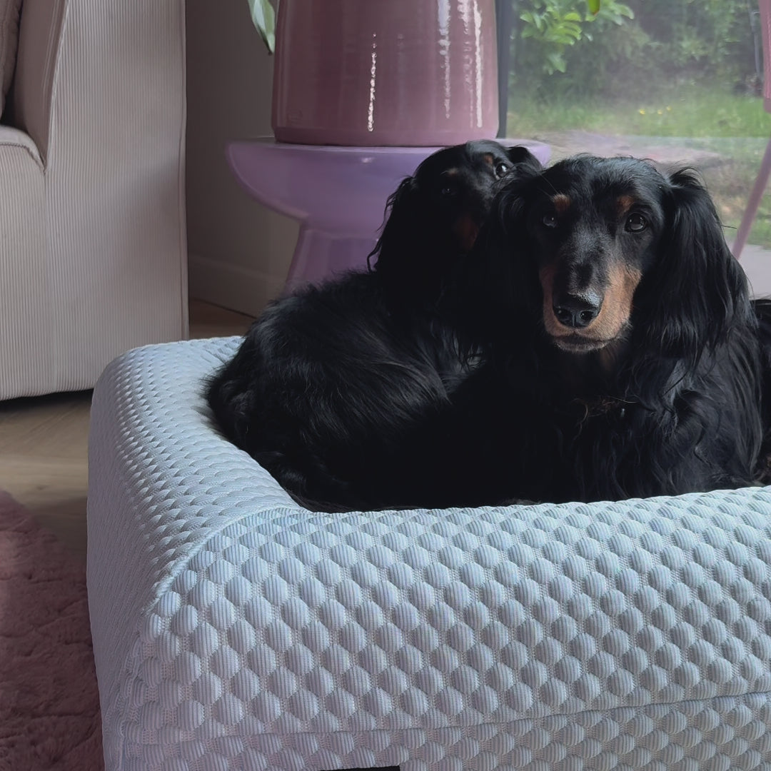 Verkoelende Hoes Icy Blue